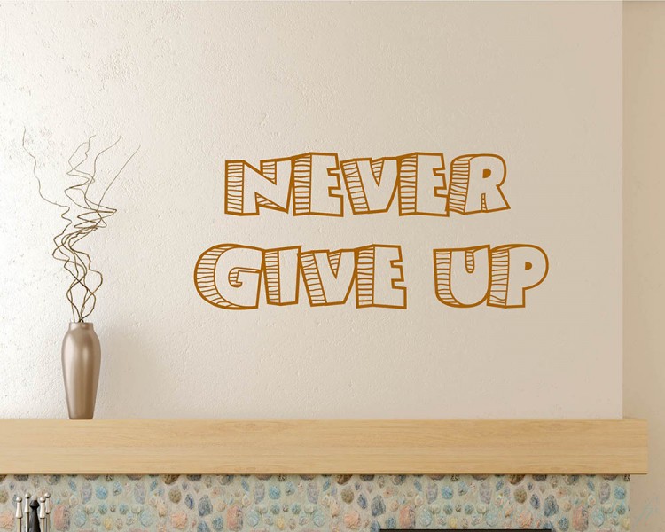 Never Give Up Never Give Up